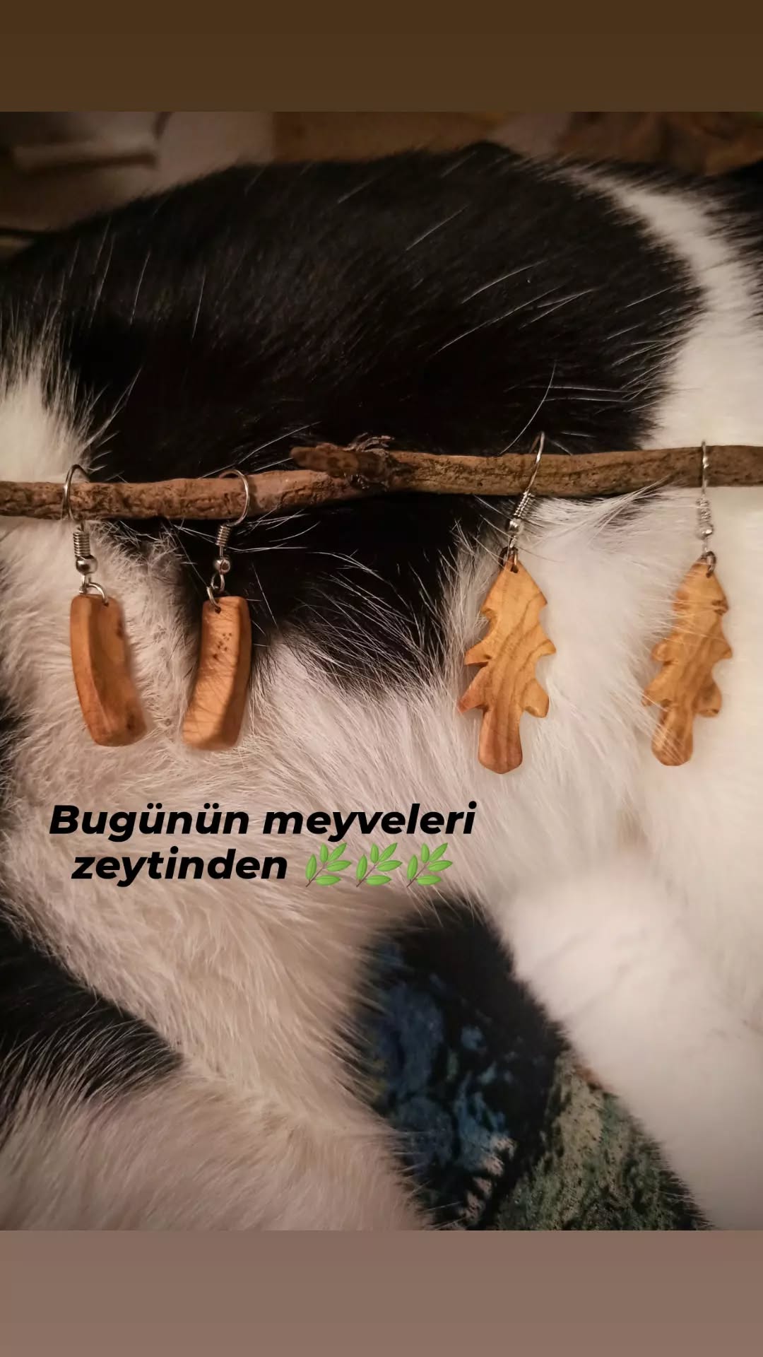 Sanatsal Faaliyetler Günlüğü